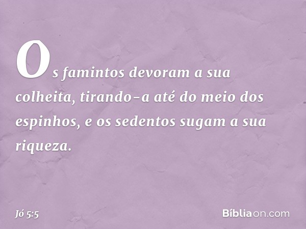 Os famintos devoram a sua colheita,
tirando-a até do meio dos espinhos,
e os sedentos sugam a sua riqueza. -- Jó 5:5