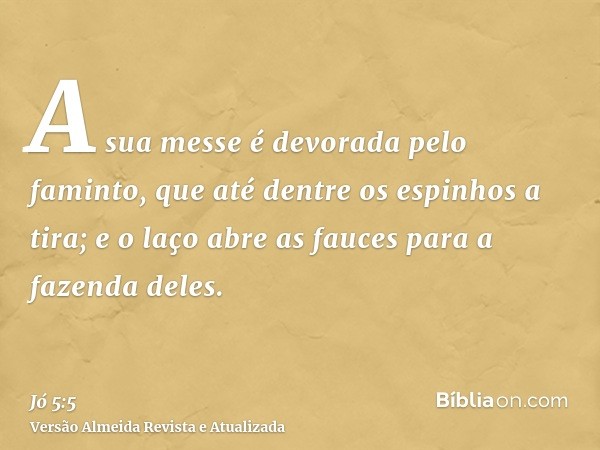 A sua messe é devorada pelo faminto, que até dentre os espinhos a tira; e o laço abre as fauces para a fazenda deles.