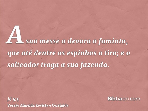 A sua messe a devora o faminto, que até dentre os espinhos a tira; e o salteador traga a sua fazenda.