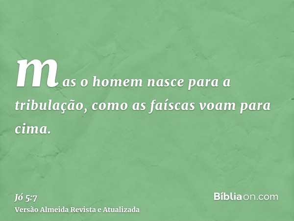 mas o homem nasce para a tribulação, como as faíscas voam para cima.