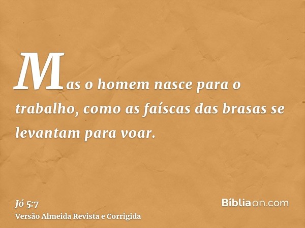 Mas o homem nasce para o trabalho, como as faíscas das brasas se levantam para voar.