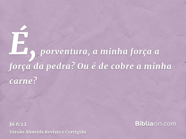 É, porventura, a minha força a força da pedra? Ou é de cobre a minha carne?