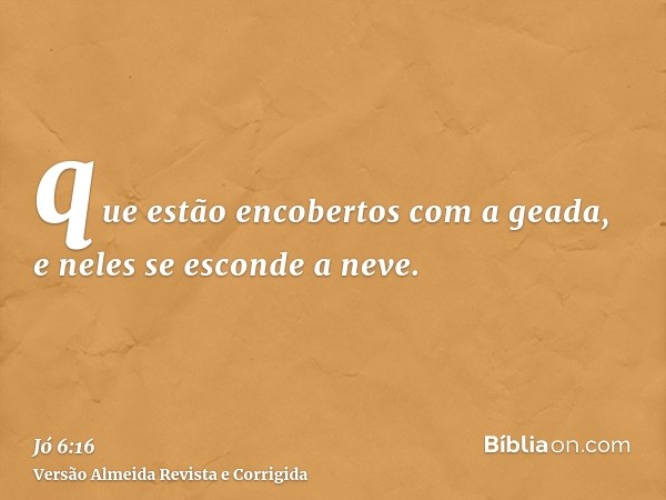 que estão encobertos com a geada, e neles se esconde a neve.