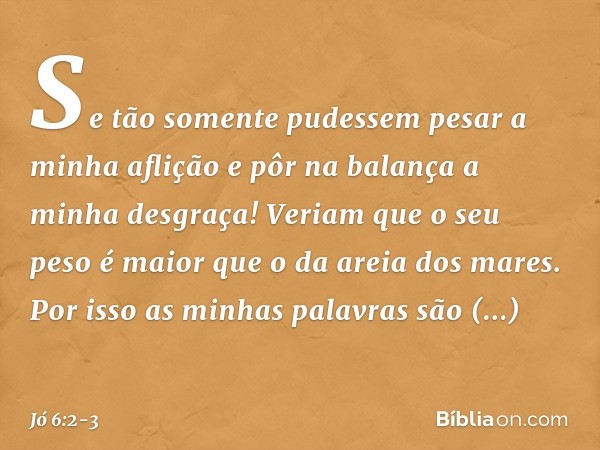 "Se tão somente pudessem
pesar a minha aflição
e pôr na balança a minha desgraça! Veriam que o seu peso é maior
que o da areia dos mares.
Por isso as minhas pal