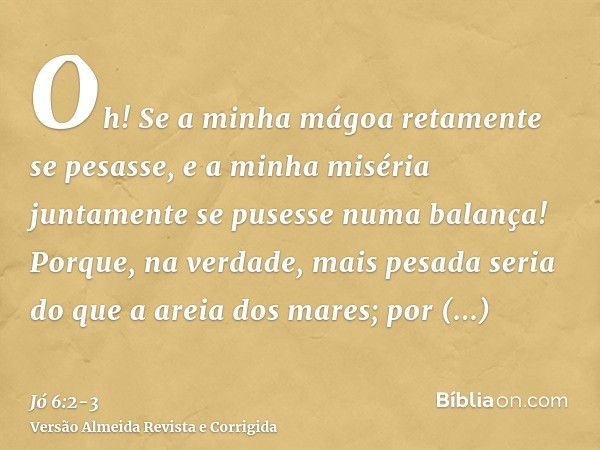 Oh! Se a minha mágoa retamente se pesasse, e a minha miséria juntamente se pusesse numa balança!Porque, na verdade, mais pesada seria do que a areia dos mares; 