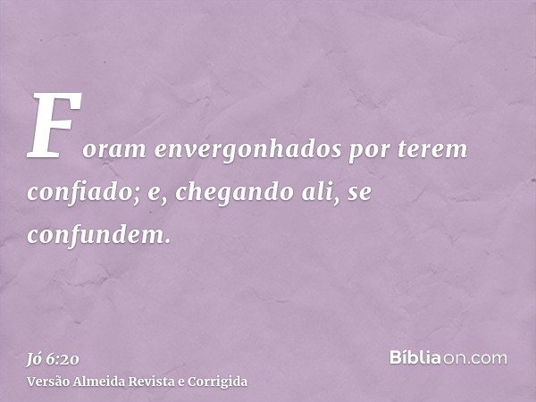 Foram envergonhados por terem confiado; e, chegando ali, se confundem.