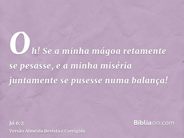 Oh! Se a minha mágoa retamente se pesasse, e a minha miséria juntamente se pusesse numa balança!