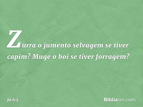 Zurra o jumento selvagem
se tiver capim?
Muge o boi se tiver forragem? -- Jó 6:5