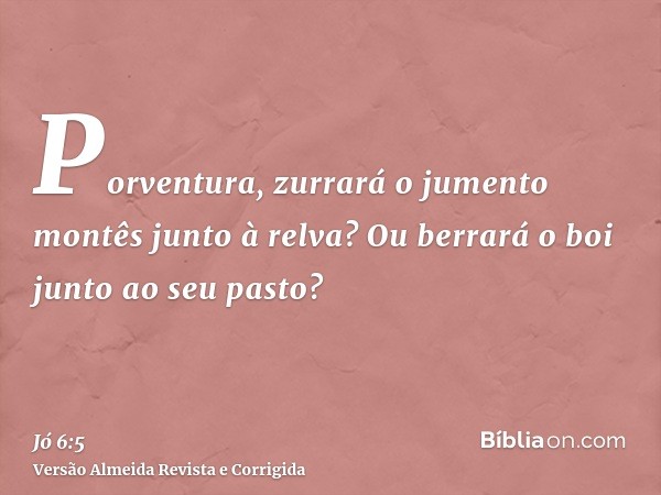 Porventura, zurrará o jumento montês junto à relva? Ou berrará o boi junto ao seu pasto?
