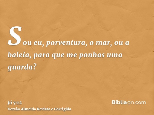Sou eu, porventura, o mar, ou a baleia, para que me ponhas uma guarda?