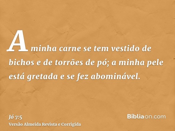 A minha carne se tem vestido de bichos e de torrões de pó; a minha pele está gretada e se fez abominável.