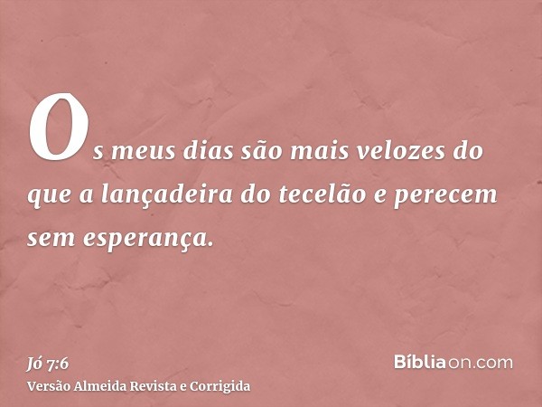 Os meus dias são mais velozes do que a lançadeira do tecelão e perecem sem esperança.