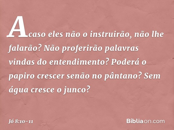Acaso eles não o instruirão,
não lhe falarão?
Não proferirão palavras vindas
do entendimento? Poderá o papiro crescer
senão no pântano?
Sem água cresce o junco?