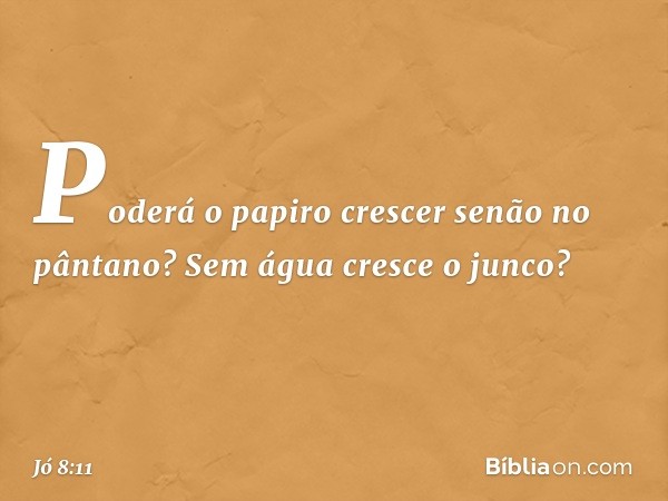 Poderá o papiro crescer
senão no pântano?
Sem água cresce o junco? -- Jó 8:11