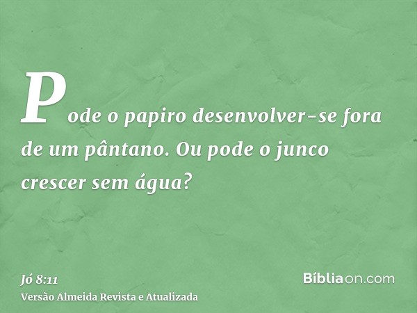 Pode o papiro desenvolver-se fora de um pântano. Ou pode o junco crescer sem água?