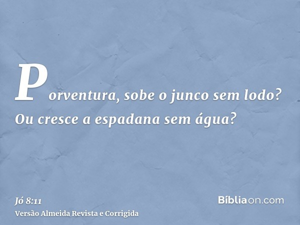 Porventura, sobe o junco sem lodo? Ou cresce a espadana sem água?