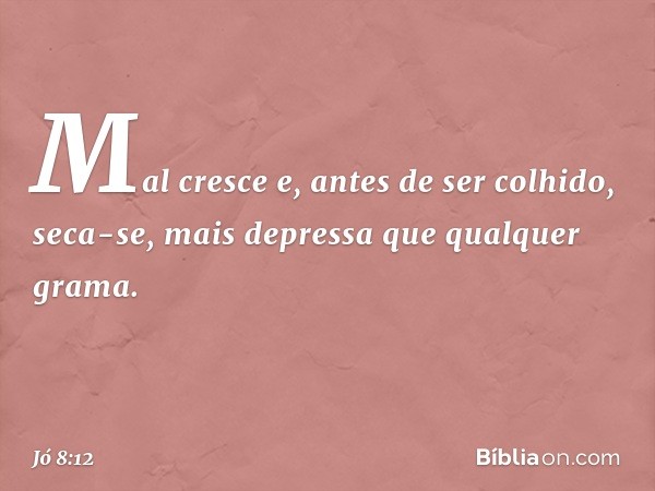 Mal cresce e,
antes de ser colhido, seca-se,
mais depressa que qualquer grama. -- Jó 8:12