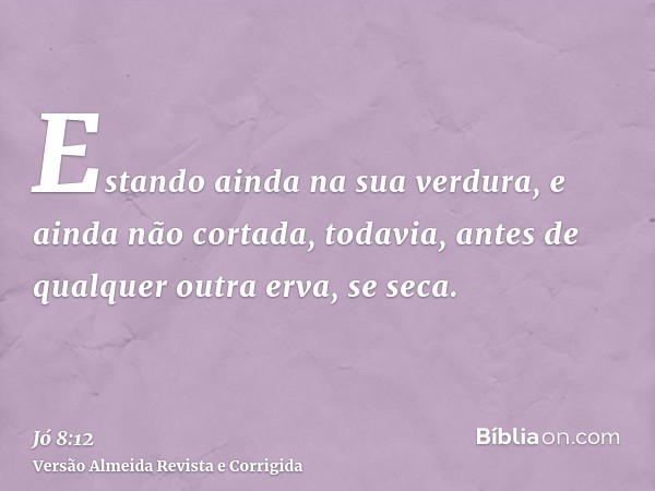 Estando ainda na sua verdura, e ainda não cortada, todavia, antes de qualquer outra erva, se seca.