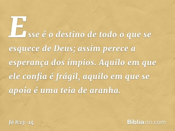 Esse é o destino
de todo o que se esquece de Deus;
assim perece a esperança dos ímpios. Aquilo em que ele confia é frágil,
aquilo em que se apoia
é uma teia de 