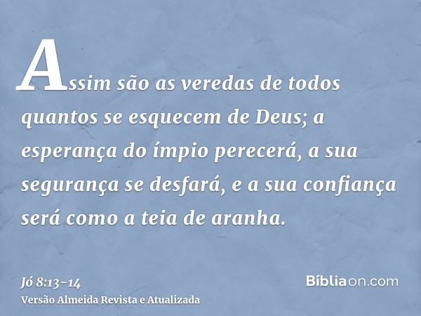 Assim são as veredas de todos quantos se esquecem de Deus; a esperança do ímpio perecerá,a sua segurança se desfará, e a sua confiança será como a teia de aranh