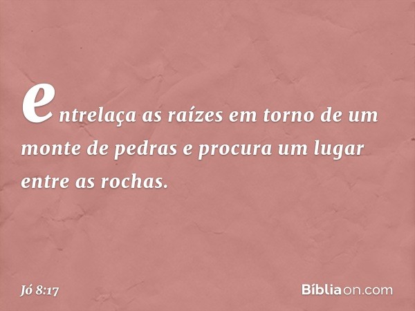 entrelaça as raízes
em torno de um monte de pedras
e procura um lugar entre as rochas. -- Jó 8:17