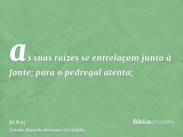 as suas raízes se entrelaçam junto à fonte; para o pedregal atenta;