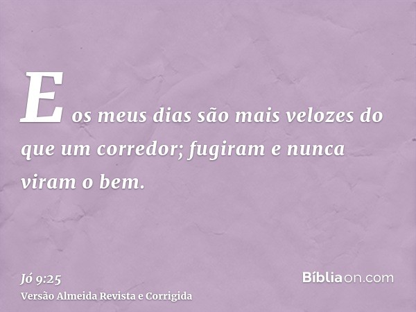 E os meus dias são mais velozes do que um corredor; fugiram e nunca viram o bem.