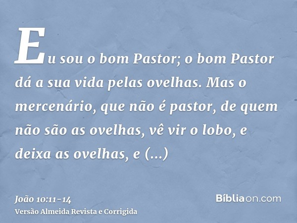 Eu sou o bom Pastor; o bom Pastor dá a sua vida pelas ovelhas.Mas o mercenário, que não é pastor, de quem não são as ovelhas, vê vir o lobo, e deixa as ovelhas,