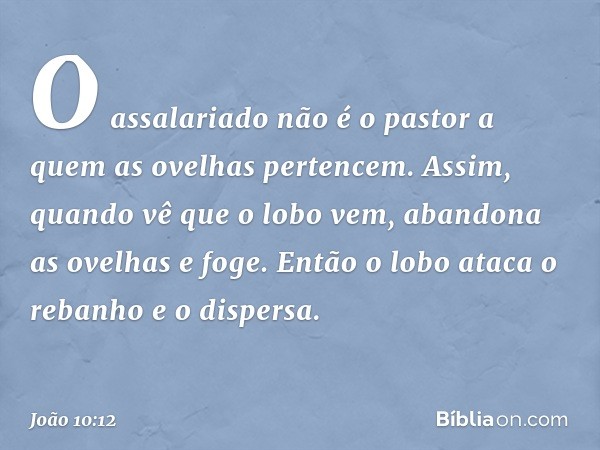 O assalariado não é o pastor a quem as ovelhas pertencem. Assim, quando vê que o lobo vem, abandona as ovelhas e foge. Então o lobo ataca o rebanho e o dispersa