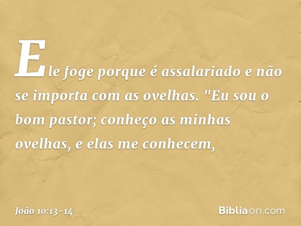 Ele foge porque é assalariado e não se importa com as ovelhas. "Eu sou o bom pastor; conheço as minhas ovelhas, e elas me conhecem, -- João 10:13-14