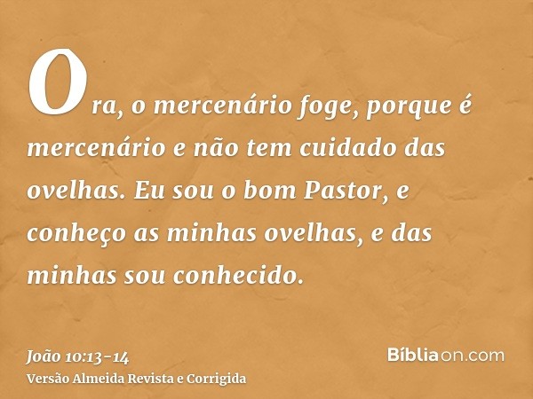 Ora, o mercenário foge, porque é mercenário e não tem cuidado das ovelhas.Eu sou o bom Pastor, e conheço as minhas ovelhas, e das minhas sou conhecido.