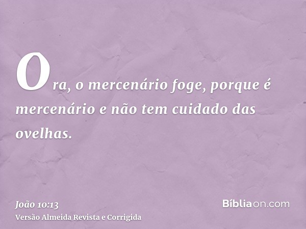 Ora, o mercenário foge, porque é mercenário e não tem cuidado das ovelhas.