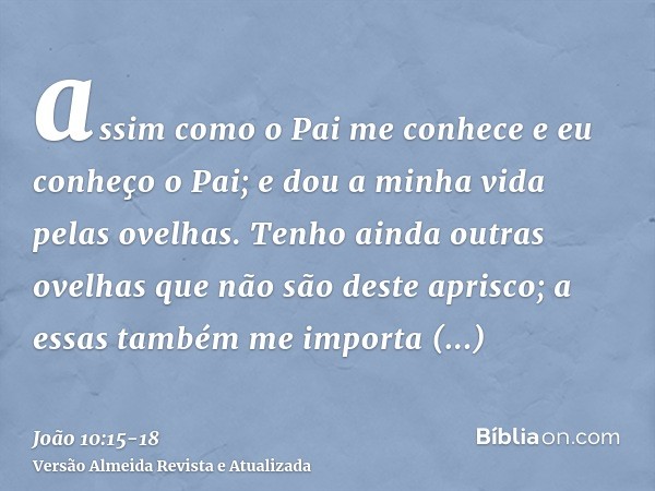 assim como o Pai me conhece e eu conheço o Pai; e dou a minha vida pelas ovelhas.Tenho ainda outras ovelhas que não são deste aprisco; a essas também me importa