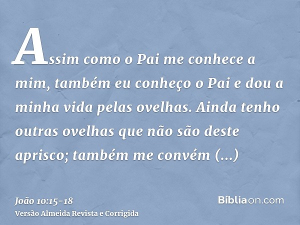 Assim como o Pai me conhece a mim, também eu conheço o Pai e dou a minha vida pelas ovelhas.Ainda tenho outras ovelhas que não são deste aprisco; também me conv