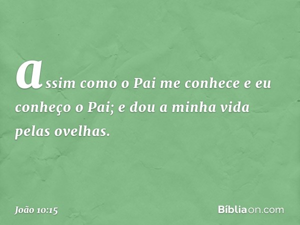 assim como o Pai me conhece e eu conheço o Pai; e dou a minha vida pelas ovelhas. -- João 10:15