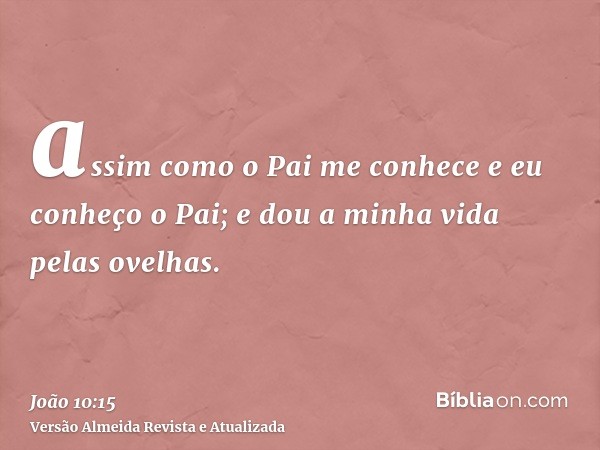 assim como o Pai me conhece e eu conheço o Pai; e dou a minha vida pelas ovelhas.