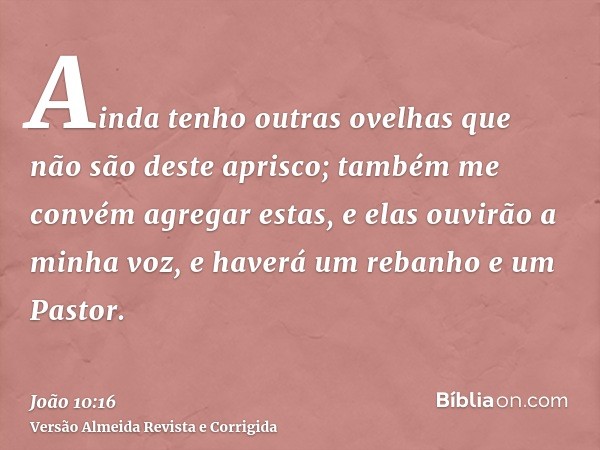 Ainda tenho outras ovelhas que não são deste aprisco; também me convém agregar estas, e elas ouvirão a minha voz, e haverá um rebanho e um Pastor.