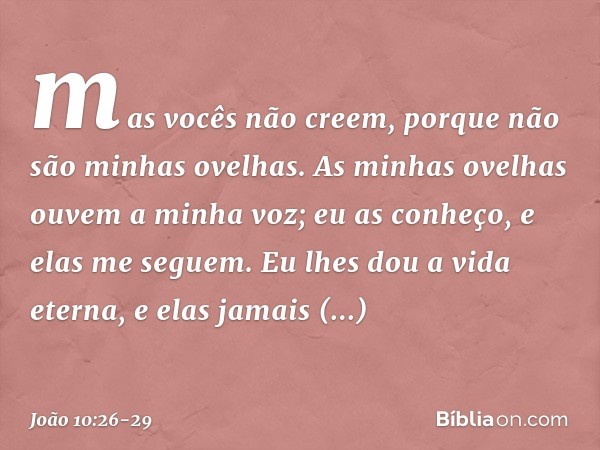 mas vocês não creem, porque não são minhas ovelhas. As minhas ovelhas ouvem a minha voz; eu as conheço, e elas me seguem. Eu lhes dou a vida eterna, e elas jama