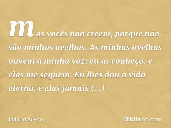 mas vocês não creem, porque não são minhas ovelhas. As minhas ovelhas ouvem a minha voz; eu as conheço, e elas me seguem. Eu lhes dou a vida eterna, e elas jama