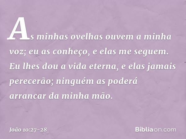 As minhas ovelhas ouvem a minha voz; eu as conheço, e elas me seguem. Eu lhes dou a vida eterna, e elas jamais perecerão; ninguém as poderá arrancar da minha mã