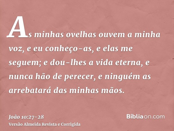 As minhas ovelhas ouvem a minha voz, e eu conheço-as, e elas me seguem;e dou-lhes a vida eterna, e nunca hão de perecer, e ninguém as arrebatará das minhas mãos