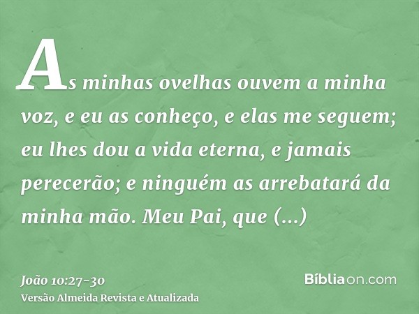 As minhas ovelhas ouvem a minha voz, e eu as conheço, e elas me seguem;eu lhes dou a vida eterna, e jamais perecerão; e ninguém as arrebatará da minha mão.Meu P