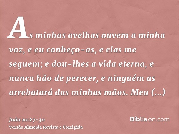 As minhas ovelhas ouvem a minha voz, e eu conheço-as, e elas me seguem;e dou-lhes a vida eterna, e nunca hão de perecer, e ninguém as arrebatará das minhas mãos