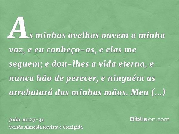 As minhas ovelhas ouvem a minha voz, e eu conheço-as, e elas me seguem;e dou-lhes a vida eterna, e nunca hão de perecer, e ninguém as arrebatará das minhas mãos