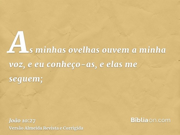 As minhas ovelhas ouvem a minha voz, e eu conheço-as, e elas me seguem;