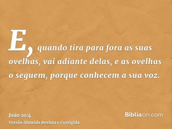 E, quando tira para fora as suas ovelhas, vai adiante delas, e as ovelhas o seguem, porque conhecem a sua voz.