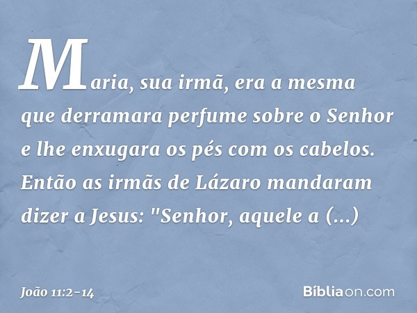 Maria, sua irmã, era a mesma que derramara perfume sobre o Senhor e lhe enxugara os pés com os cabelos. Então as irmãs de Lázaro mandaram dizer a Jesus: "Senhor