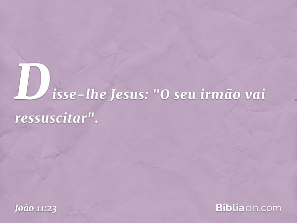 Disse-lhe Jesus: "O seu irmão vai ressuscitar". -- João 11:23