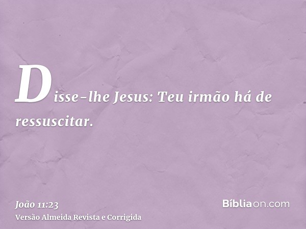 Disse-lhe Jesus: Teu irmão há de ressuscitar.