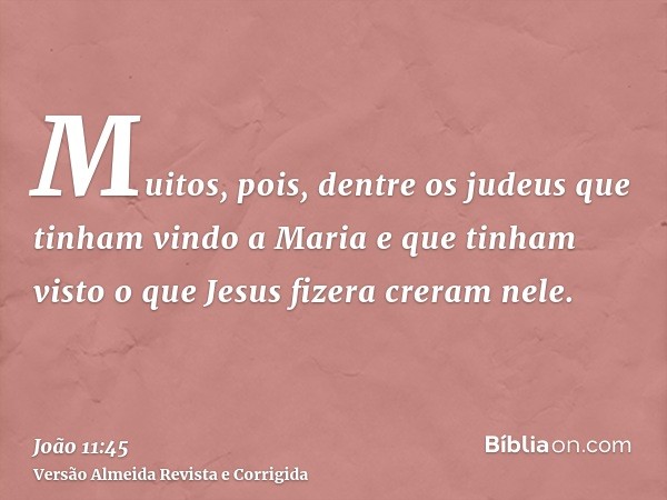 Muitos, pois, dentre os judeus que tinham vindo a Maria e que tinham visto o que Jesus fizera creram nele.